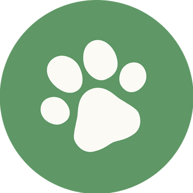 Billy - Pack Leader Leash Legend